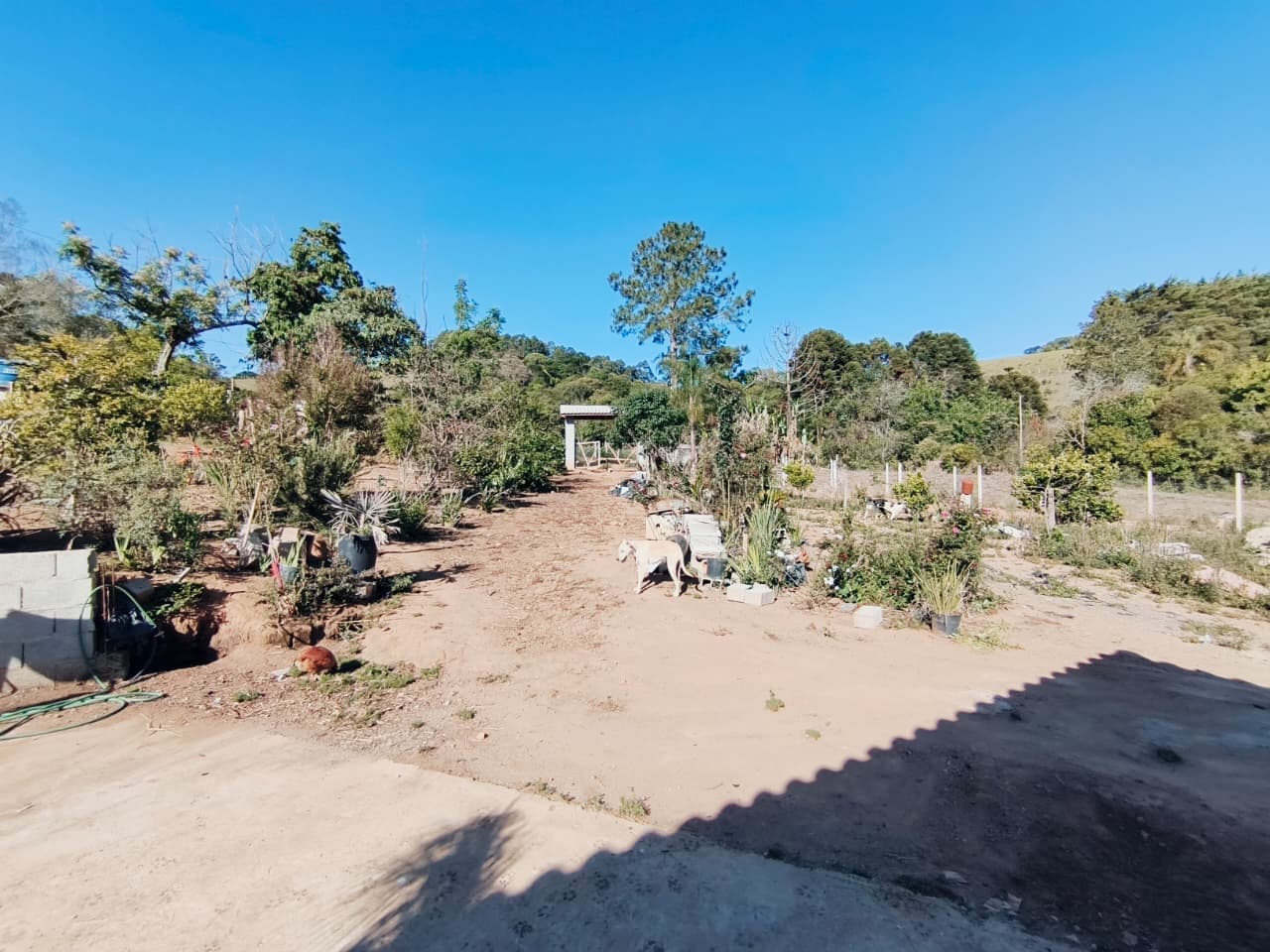🌳 CHÁCARA À VENDA – OPORTUNIDADE! 🌳