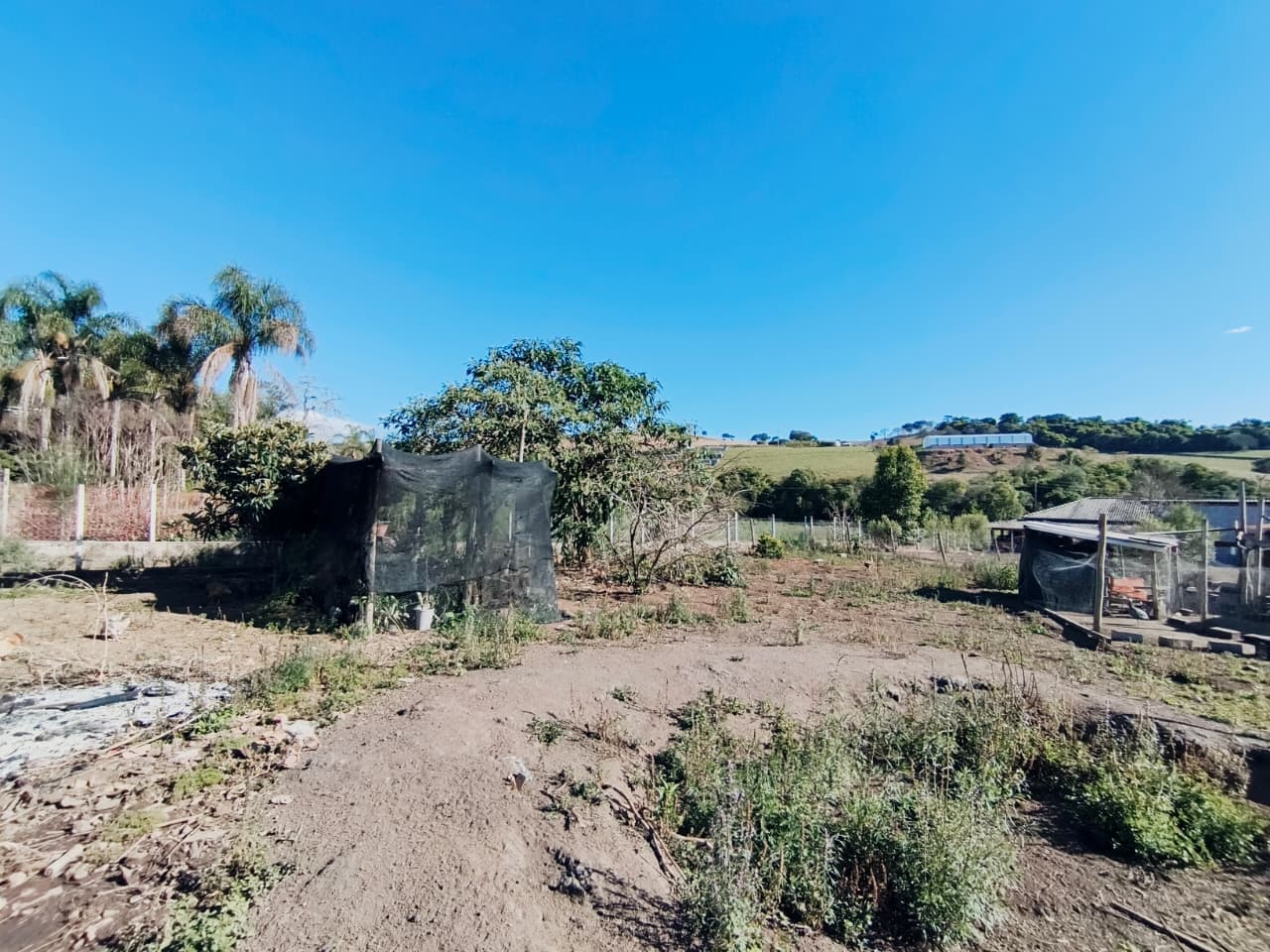 🌳 CHÁCARA À VENDA – OPORTUNIDADE! 🌳