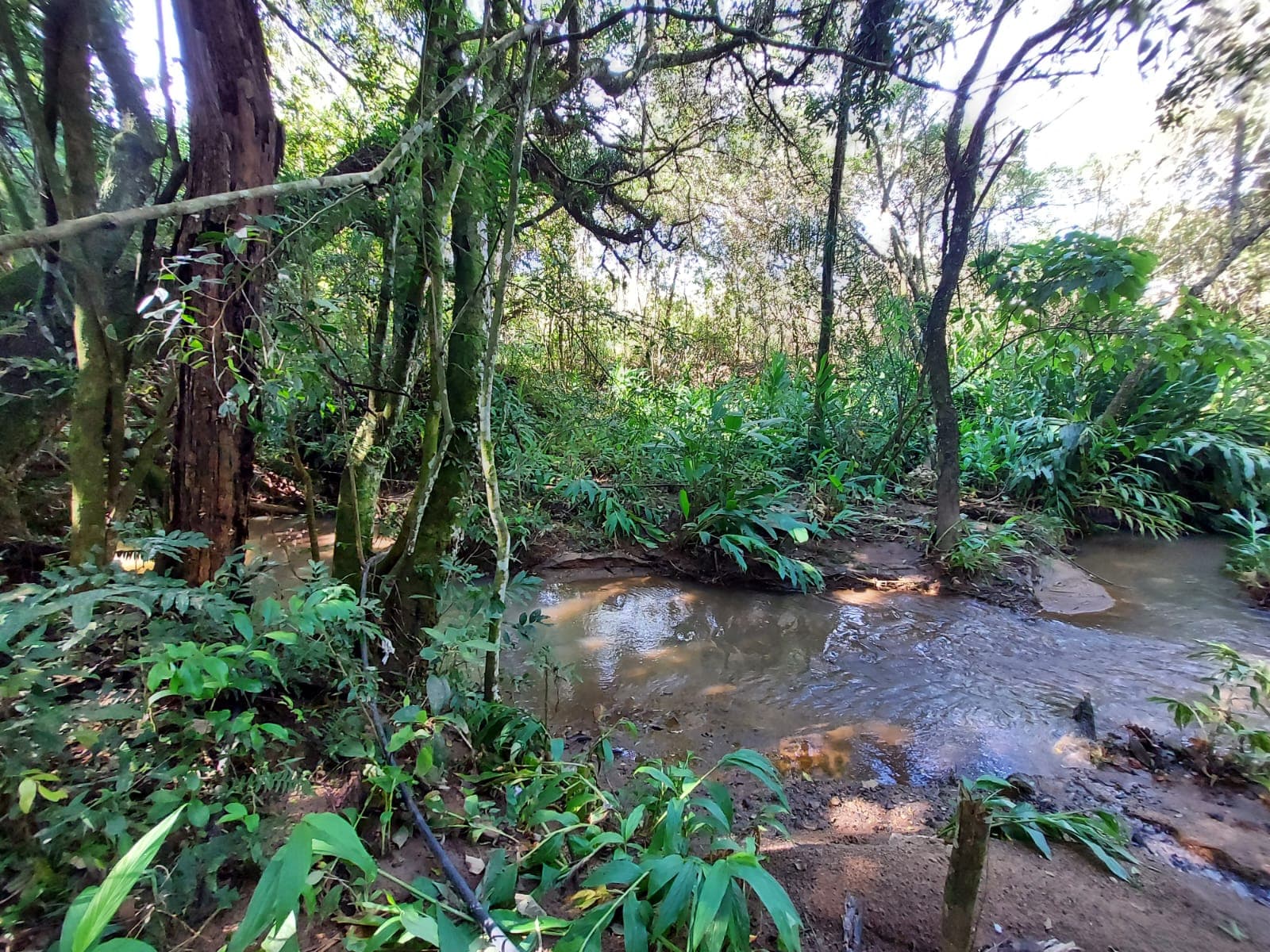 🌿🔥 Chacara OPORTUNIDADE IMPERDÍVEL EM TOLEDO – MG 🔥🌿  💥 De R$ 400.000,00 por apenas R$ 330.000,00 💥
