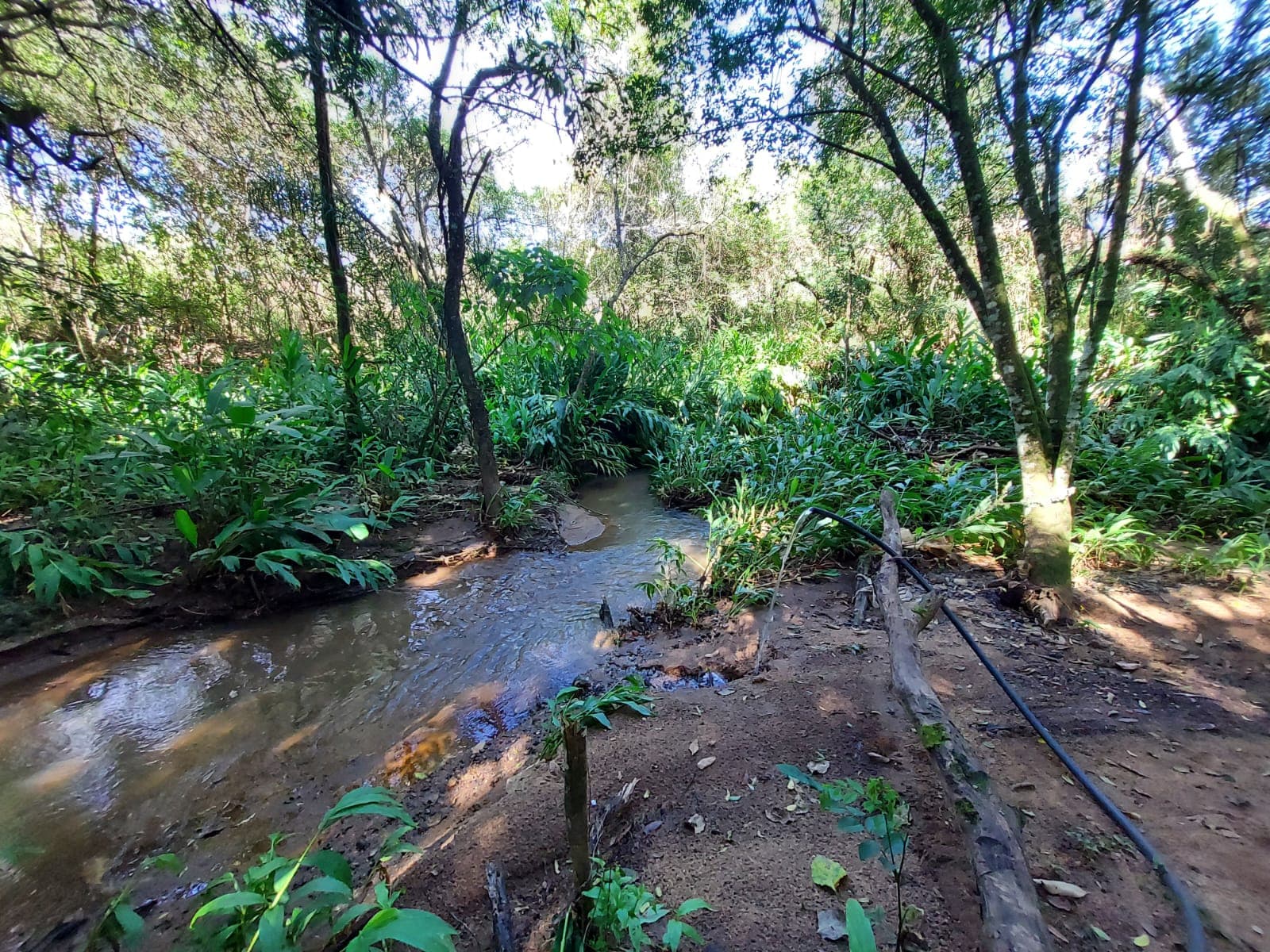 🌿🔥 Chacara OPORTUNIDADE IMPERDÍVEL EM TOLEDO – MG 🔥🌿  💥 De R$ 400.000,00 por apenas R$ 330.000,00 💥