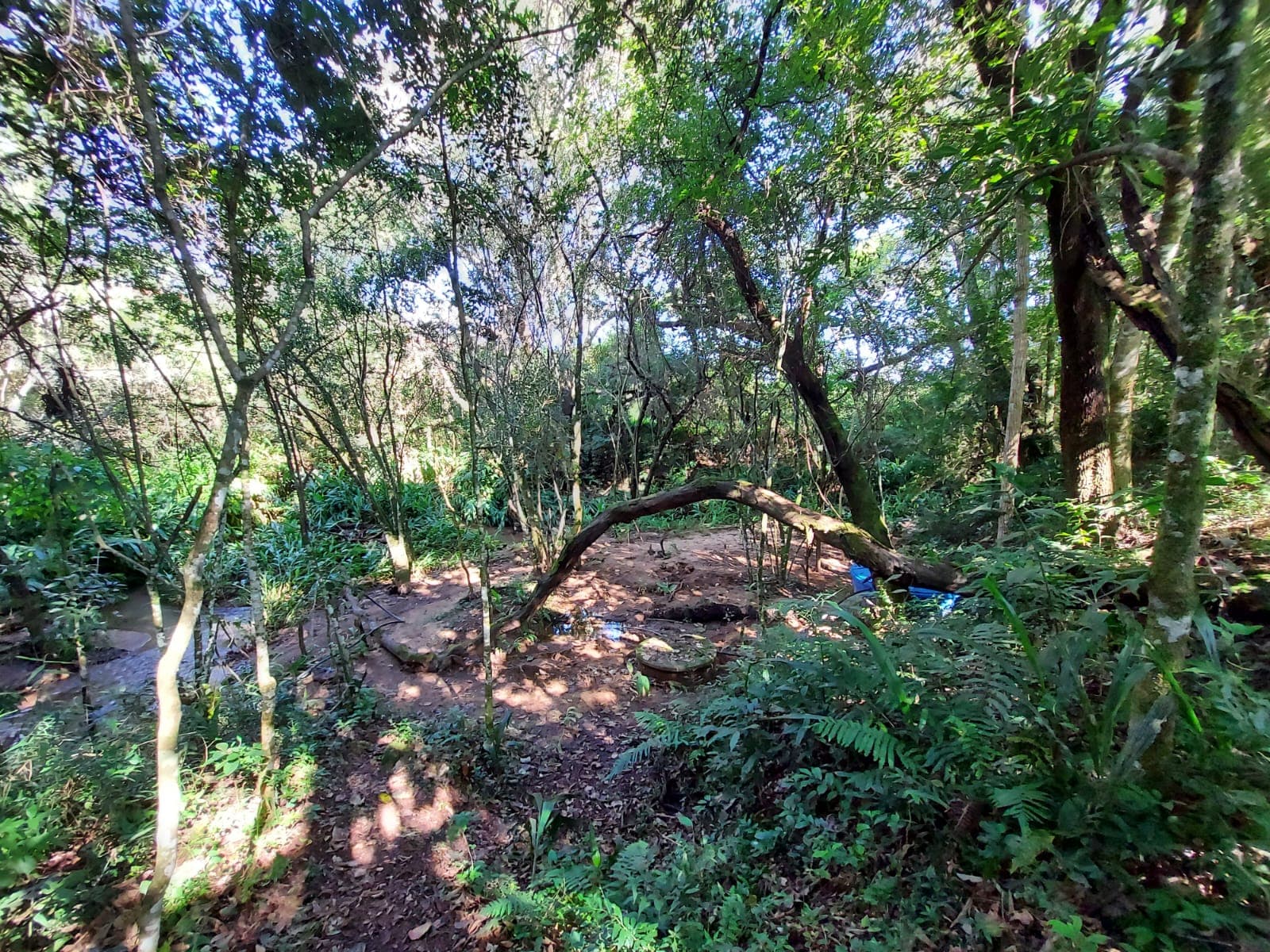 🌿🔥 Chacara OPORTUNIDADE IMPERDÍVEL EM TOLEDO – MG 🔥🌿  💥 De R$ 400.000,00 por apenas R$ 330.000,00 💥
