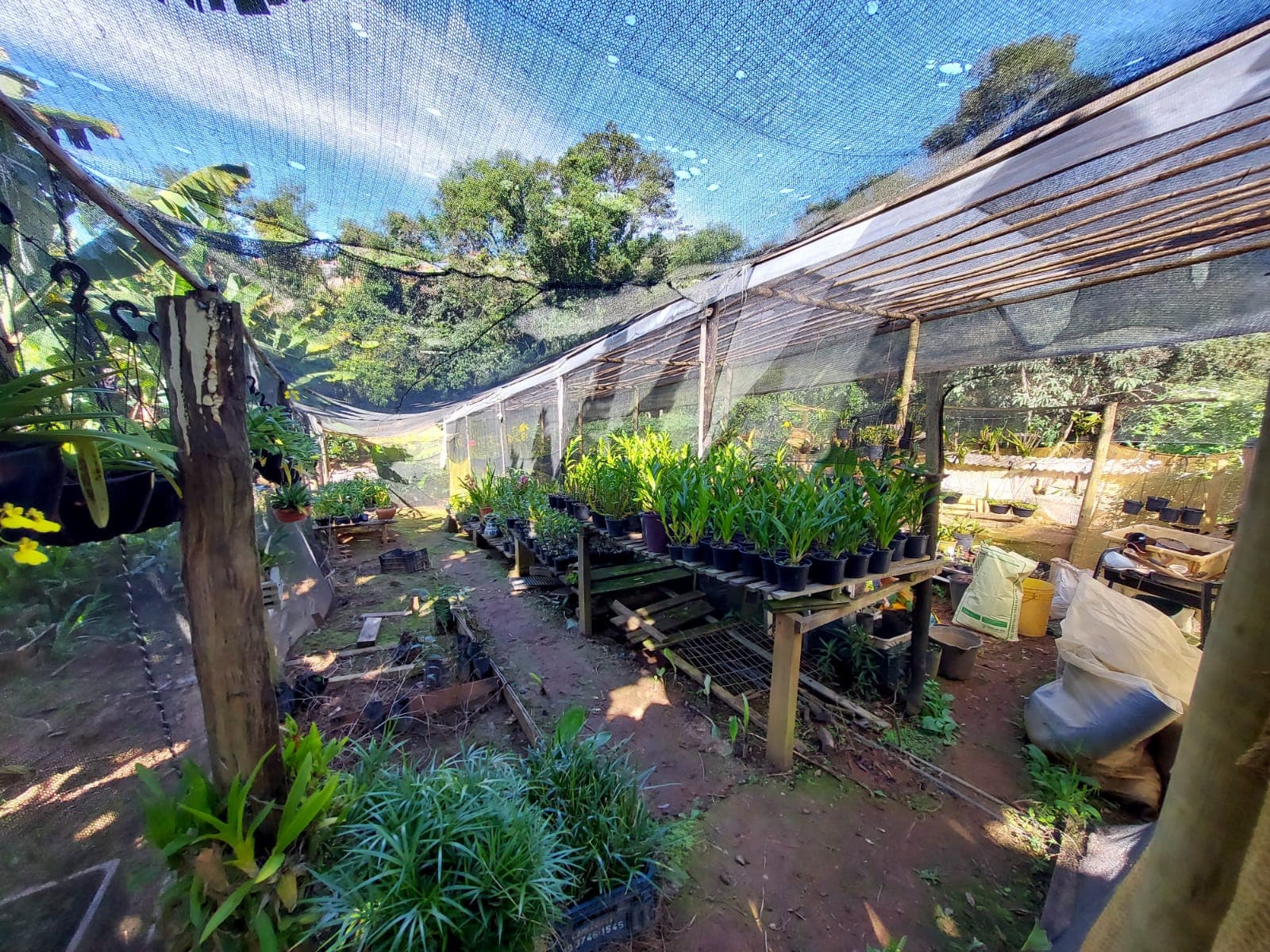 🌿🔥 Chacara OPORTUNIDADE IMPERDÍVEL EM TOLEDO – MG 🔥🌿  💥 De R$ 400.000,00 por apenas R$ 330.000,00 💥