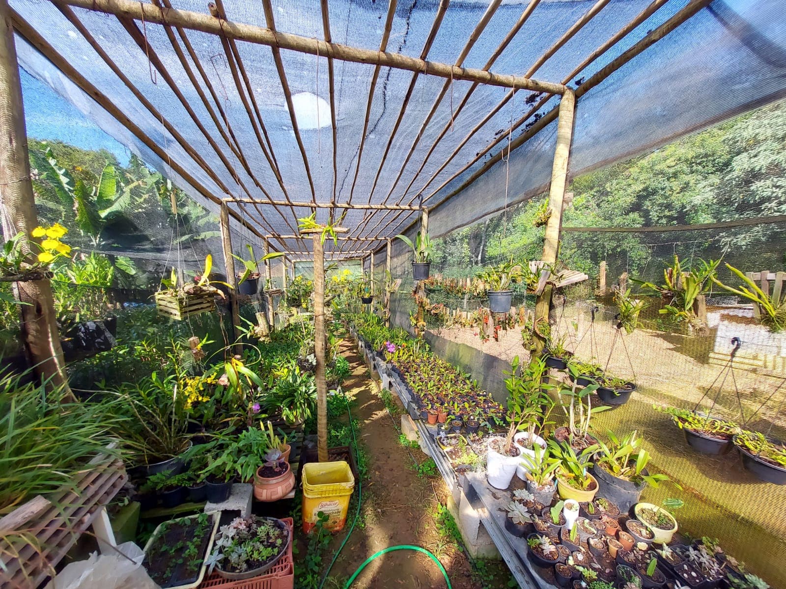 🌿🔥 Chacara OPORTUNIDADE IMPERDÍVEL EM TOLEDO – MG 🔥🌿  💥 De R$ 400.000,00 por apenas R$ 330.000,00 💥