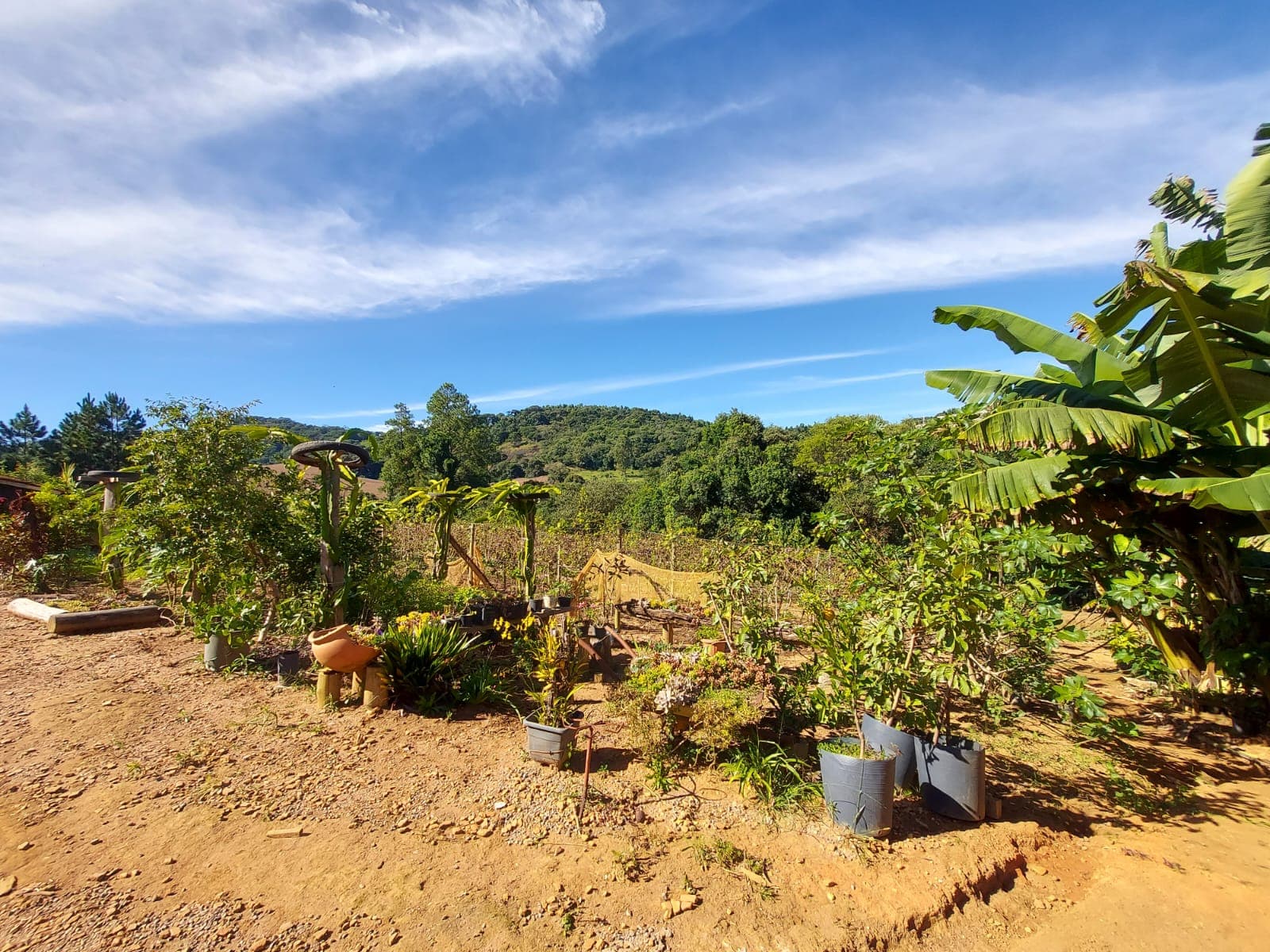 🌿🔥 Chacara OPORTUNIDADE IMPERDÍVEL EM TOLEDO – MG 🔥🌿  💥 De R$ 400.000,00 por apenas R$ 330.000,00 💥