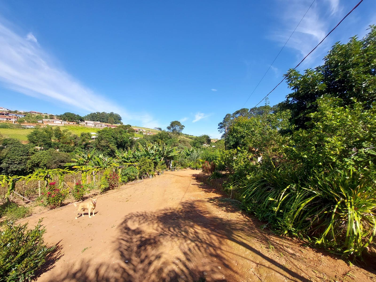 🌿🔥 Chacara OPORTUNIDADE IMPERDÍVEL EM TOLEDO – MG 🔥🌿  💥 De R$ 400.000,00 por apenas R$ 330.000,00 💥