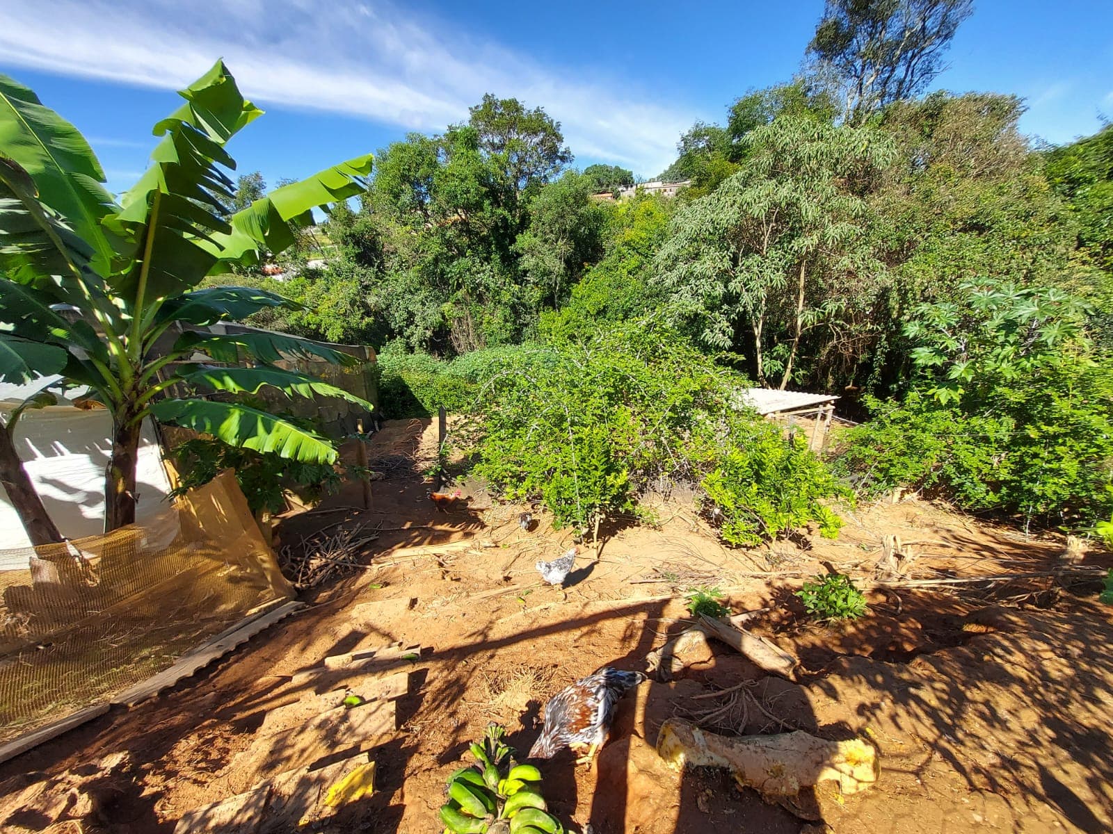 🌿🔥 Chacara OPORTUNIDADE IMPERDÍVEL EM TOLEDO – MG 🔥🌿  💥 De R$ 400.000,00 por apenas R$ 330.000,00 💥