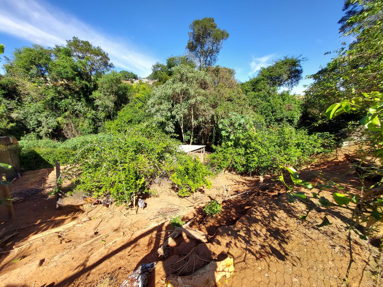 🌿🔥 Chacara OPORTUNIDADE IMPERDÍVEL EM TOLEDO – MG 🔥🌿  💥 De R$ 400.000,00 por apenas R$ 330.000,00 💥