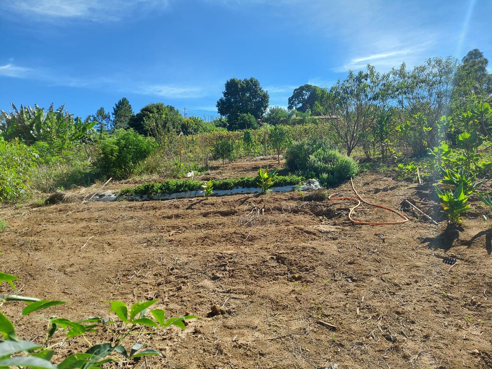 🌿🔥 Chacara OPORTUNIDADE IMPERDÍVEL EM TOLEDO – MG 🔥🌿  💥 De R$ 400.000,00 por apenas R$ 330.000,00 💥