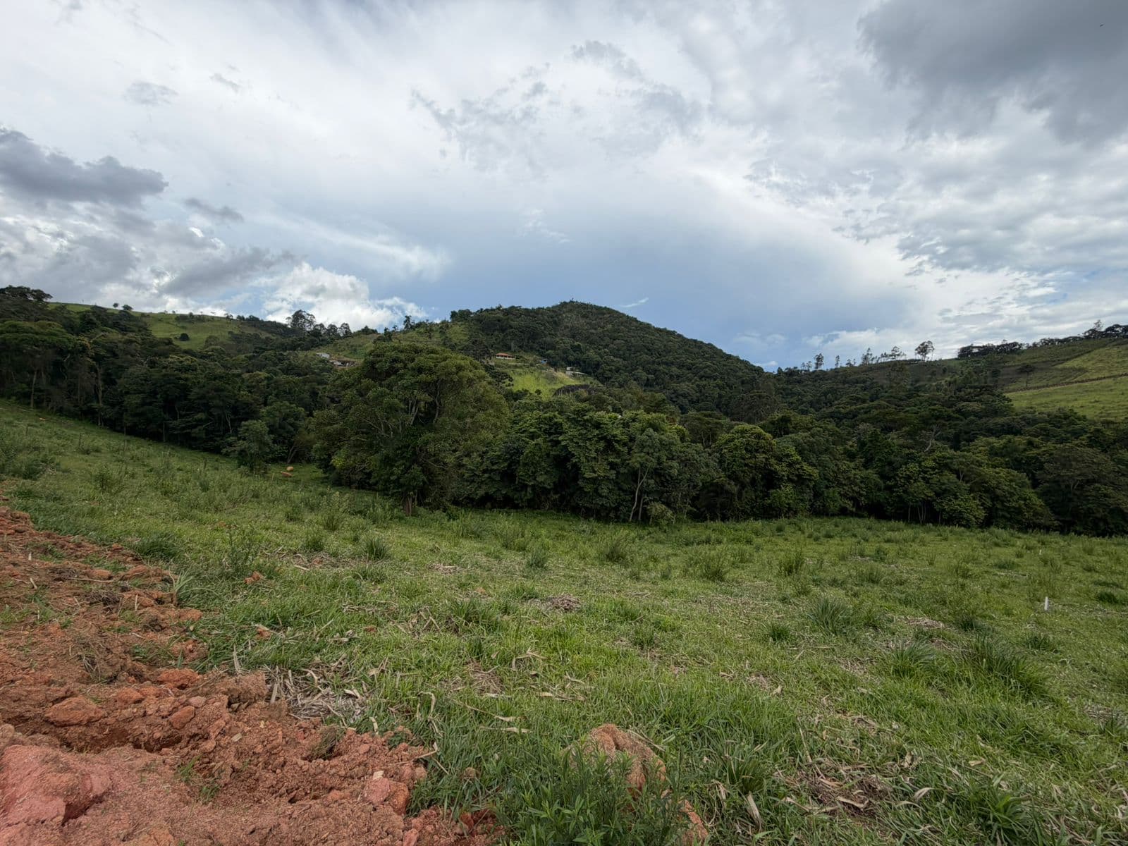 🏞️ TERRENO À VENDA – TOLEDO / MG