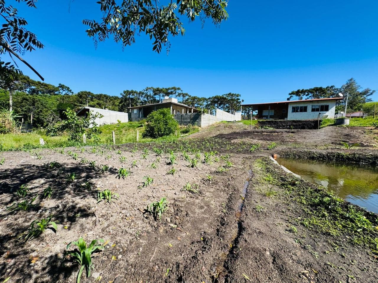 🌿 CHÁCARA À VENDA – TOLEDO/MG | VISTA INCRÍVEL E ÁGUA EM ABUNDÂNCIA 💧🌿 Área total: 1.025 m²