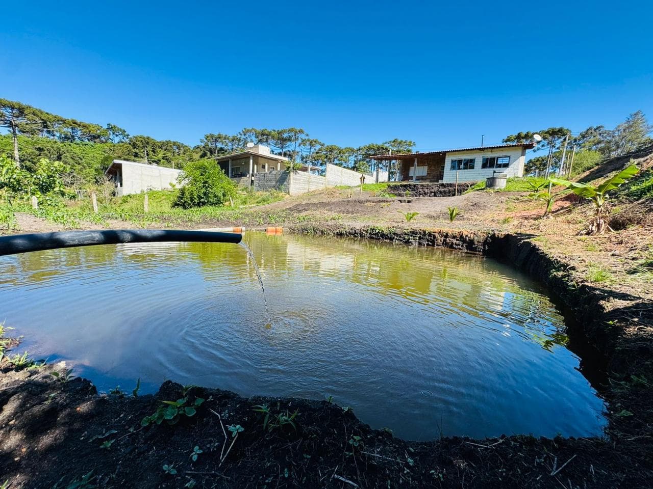 🌿 CHÁCARA À VENDA – TOLEDO/MG | VISTA INCRÍVEL E ÁGUA EM ABUNDÂNCIA 💧🌿 Área total: 1.025 m²