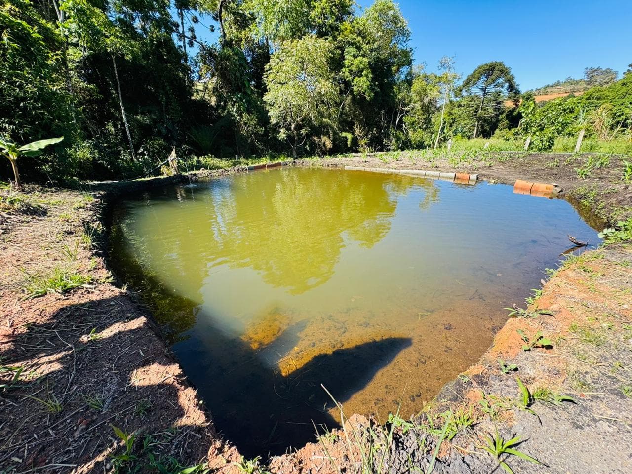 🌿 CHÁCARA À VENDA – TOLEDO/MG | VISTA INCRÍVEL E ÁGUA EM ABUNDÂNCIA 💧🌿 Área total: 1.025 m²