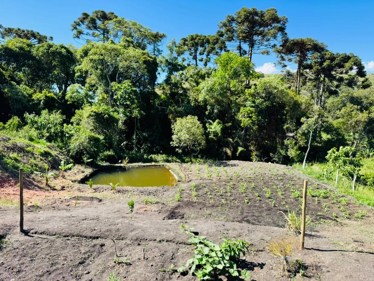 🌿 CHÁCARA À VENDA – TOLEDO/MG | VISTA INCRÍVEL E ÁGUA EM ABUNDÂNCIA 💧🌿 Área total: 1.025 m²