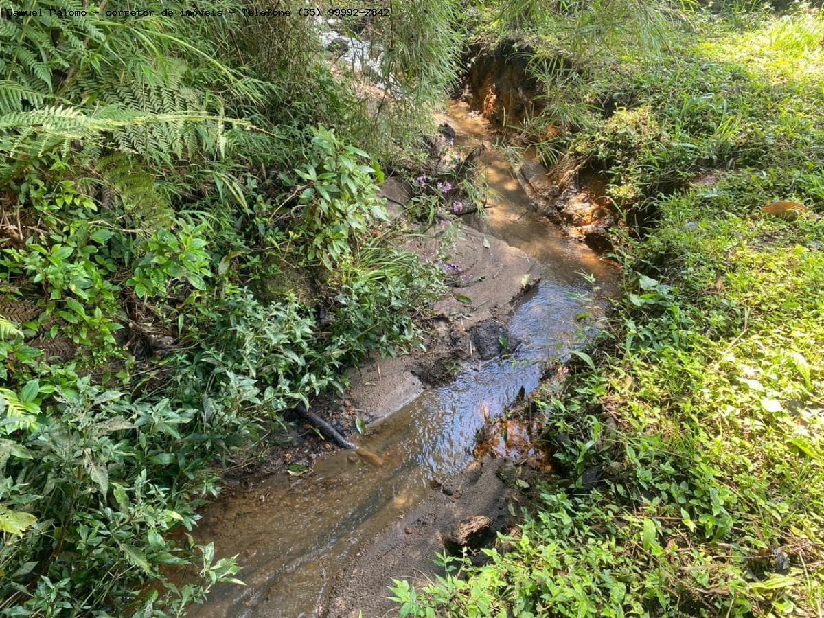 🌿 CHÁCARA À VENDA – TOLEDO/MG | VISTA INCRÍVEL E ÁGUA EM ABUNDÂNCIA 💧🌿 Área total: 1.025 m²