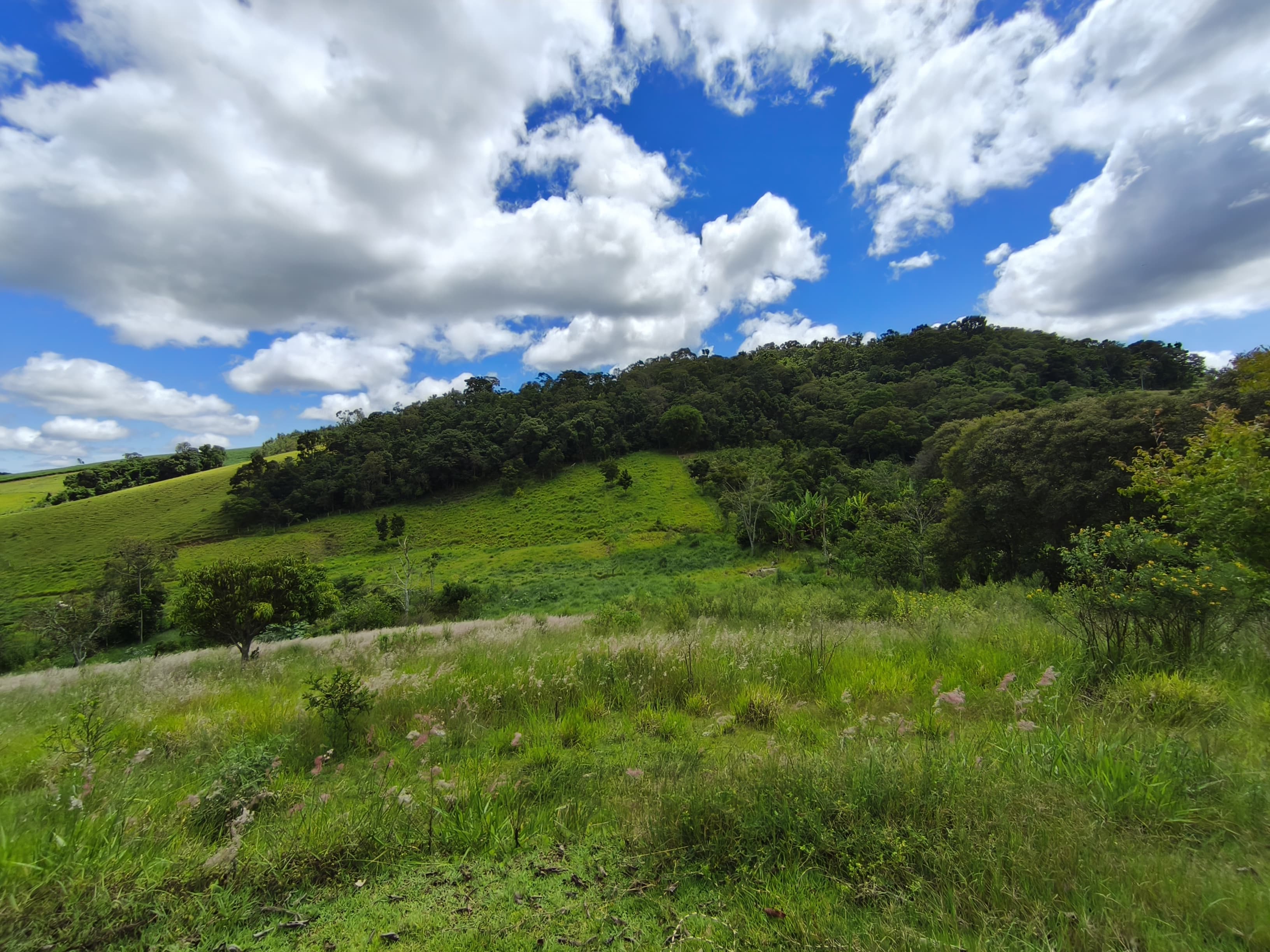 🌿 CHÁCARA À VENDA – ESCRITURADA | E PORTEIRA FECHADA 🌿