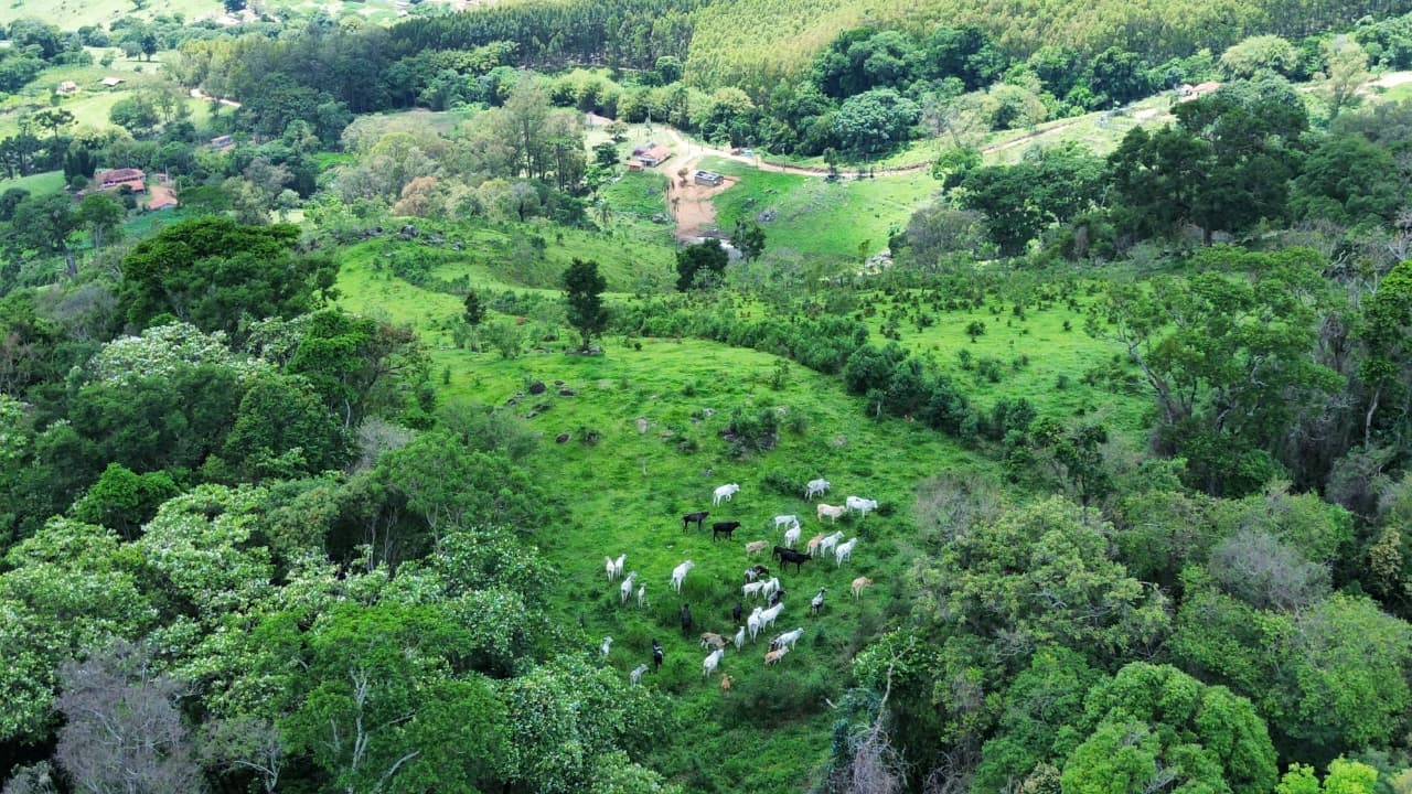 🌄 SÍTIO À VENDA – MUNHOZ/MG