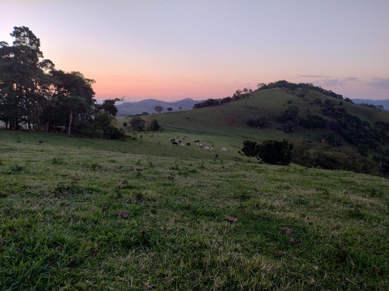 🌄 SÍTIO À VENDA – MUNHOZ/MG