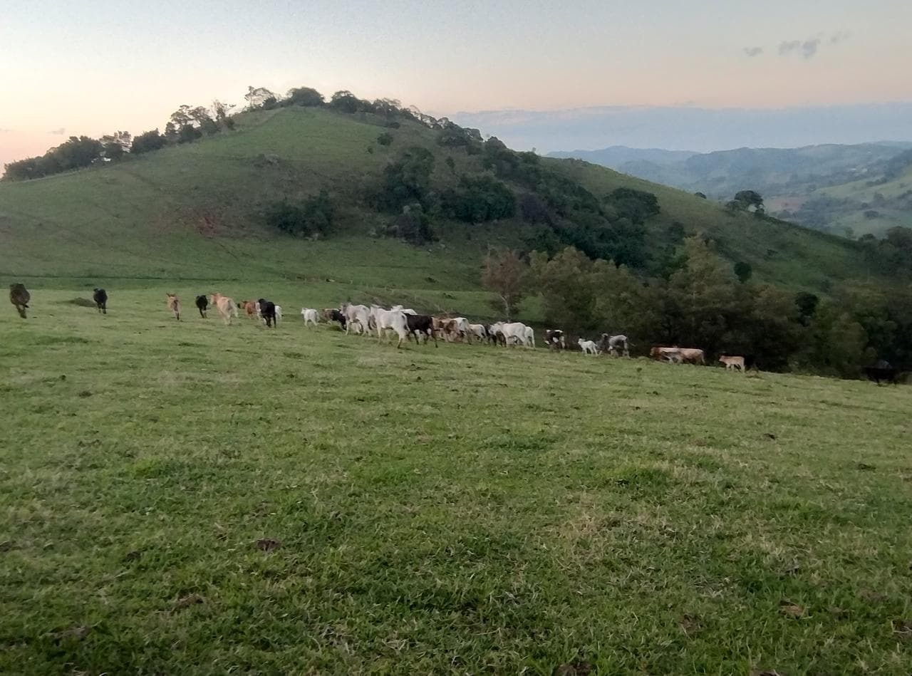 🌄 SÍTIO À VENDA – MUNHOZ/MG