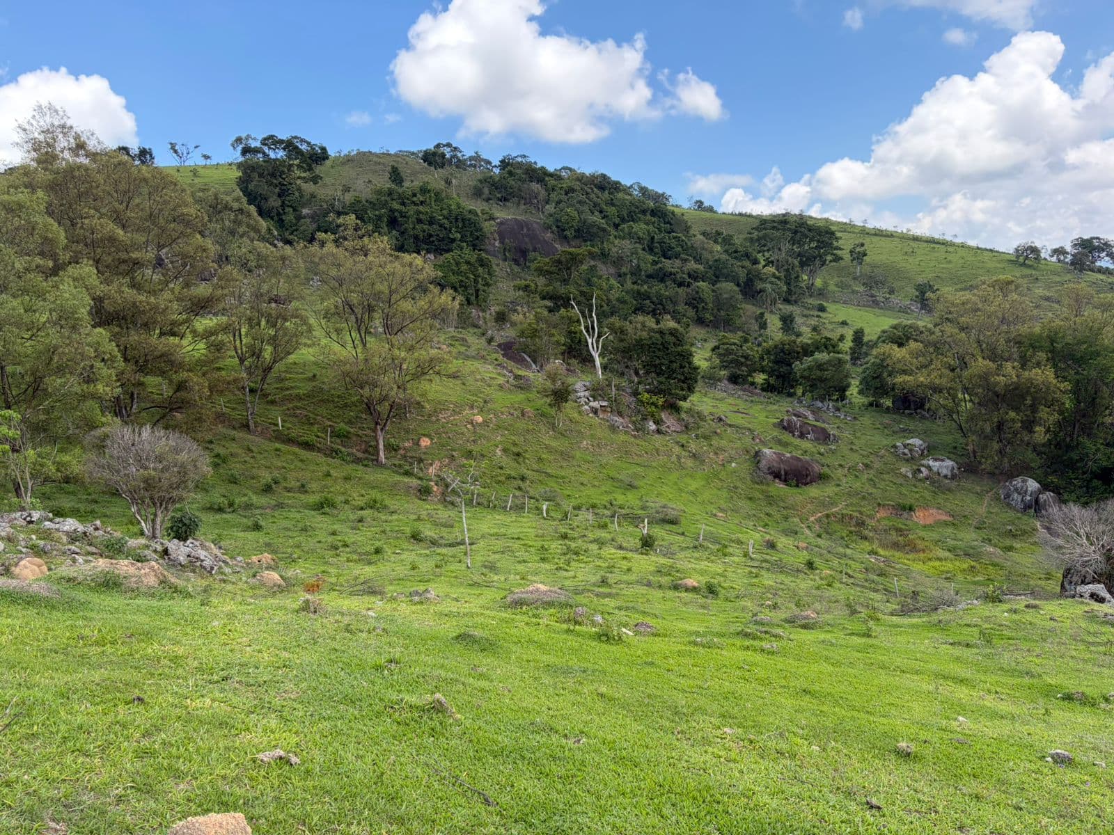🌄 SÍTIO À VENDA – MUNHOZ/MG