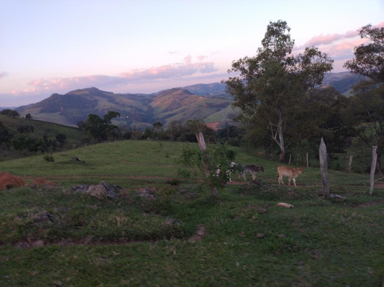 🌄 SÍTIO À VENDA – MUNHOZ/MG