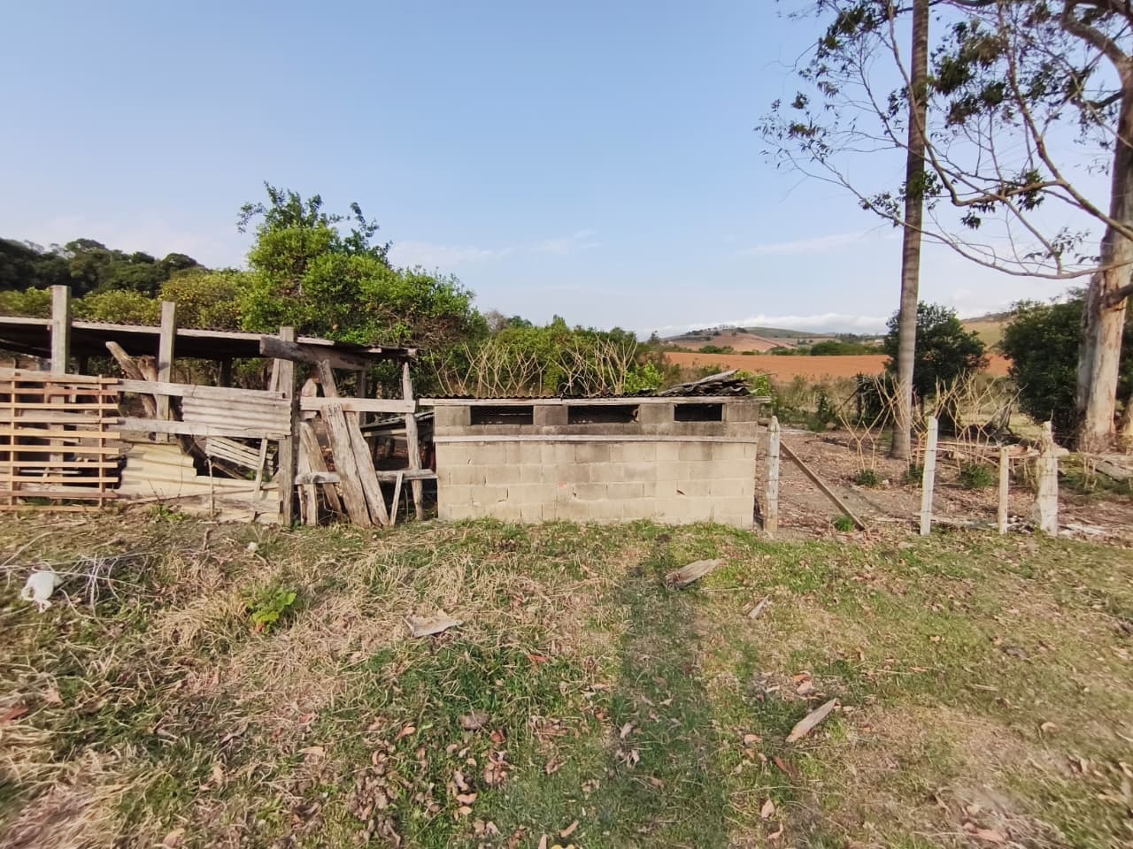 🏡 Chácara à venda – Toledo/MG