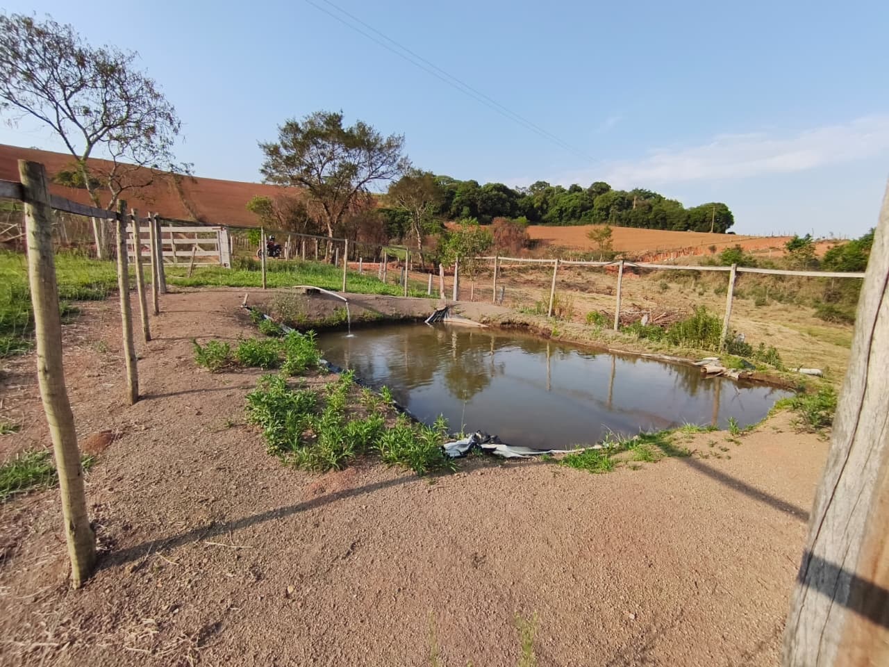 🏡 Chácara à venda – Toledo/MG