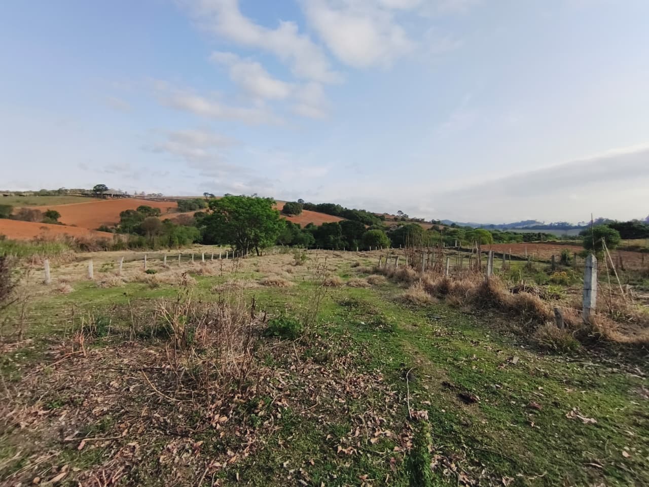 🏡 Chácara à venda – Toledo/MG
