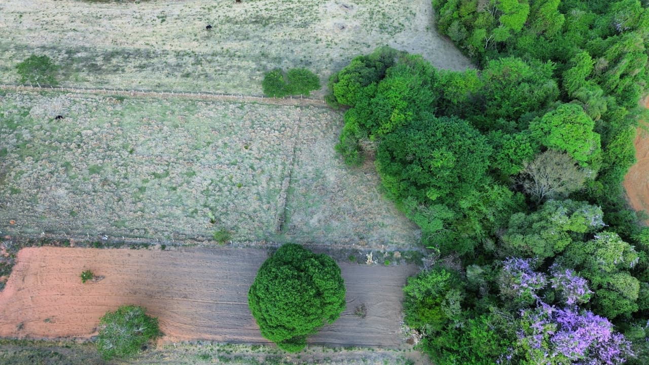 🏡 Chácara à venda – Toledo/MG