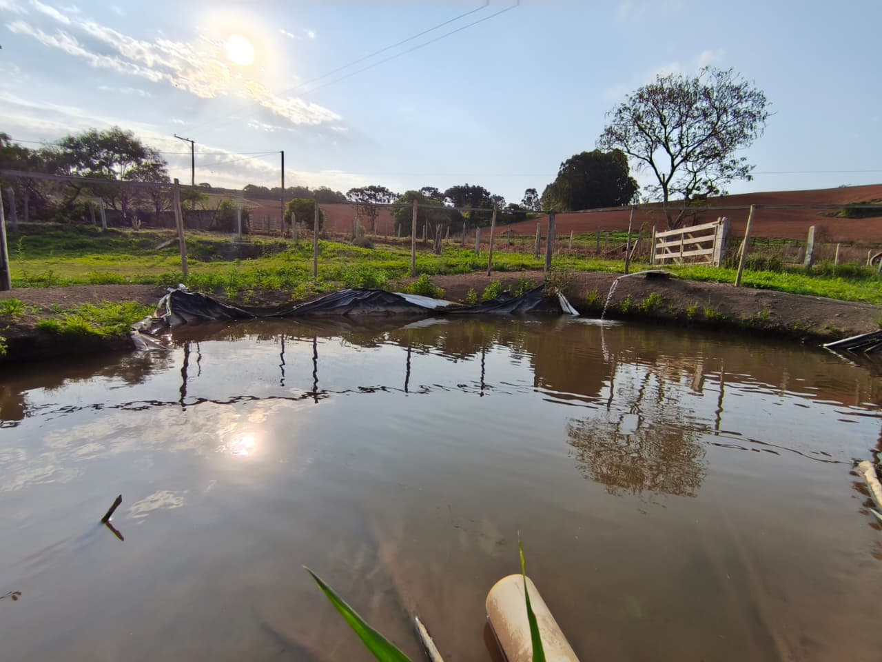 🏡 Chácara à venda – Toledo/MG